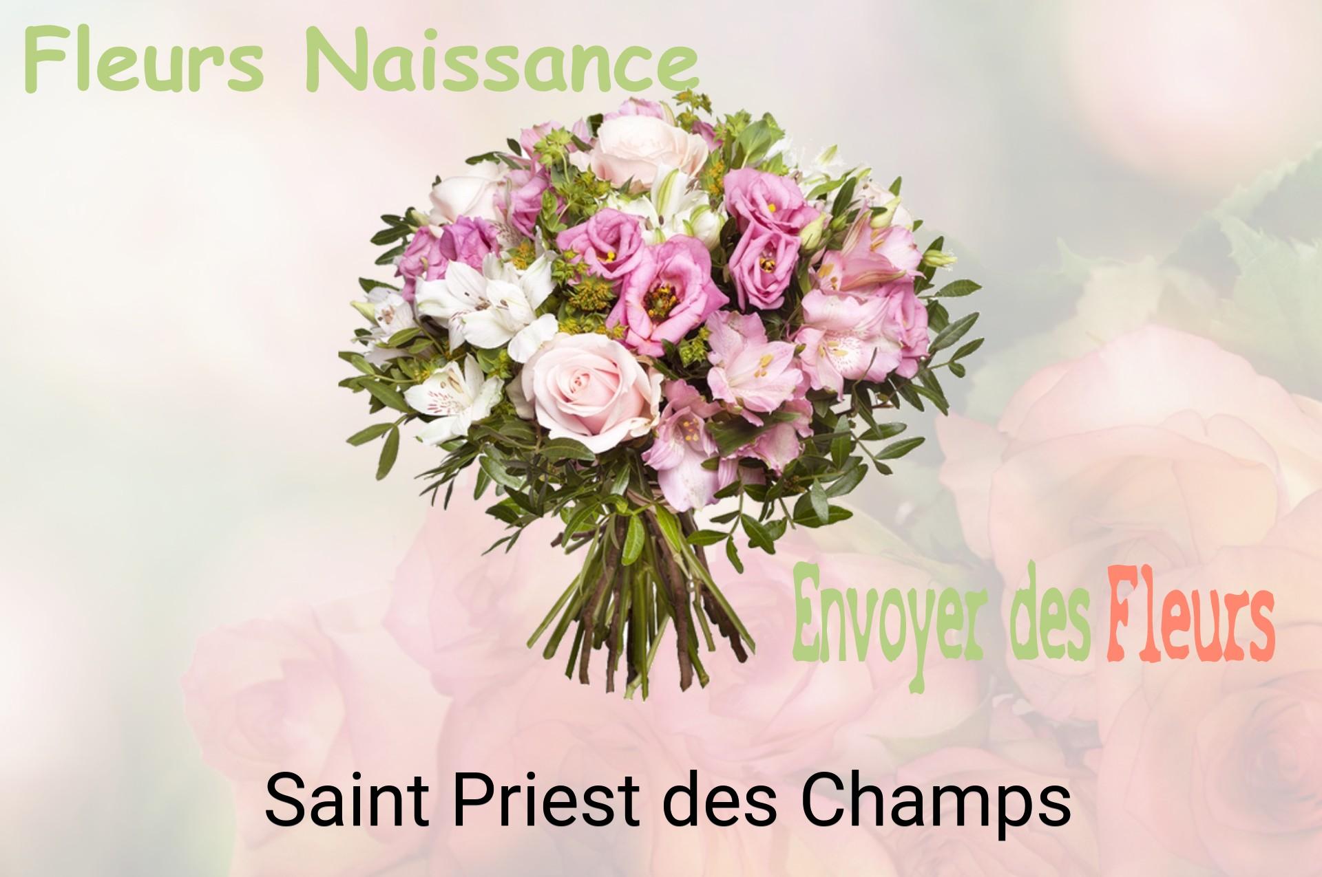 Bouquet de fleurs de naissance livré à Saint-Priest-des-Champs
